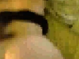 Hot wife gets penetrated in the bathroom xo